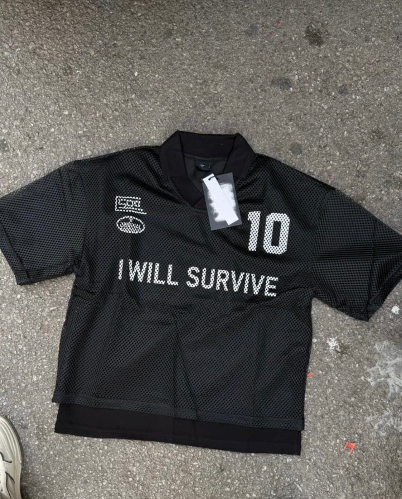 I WILL SURVIVE