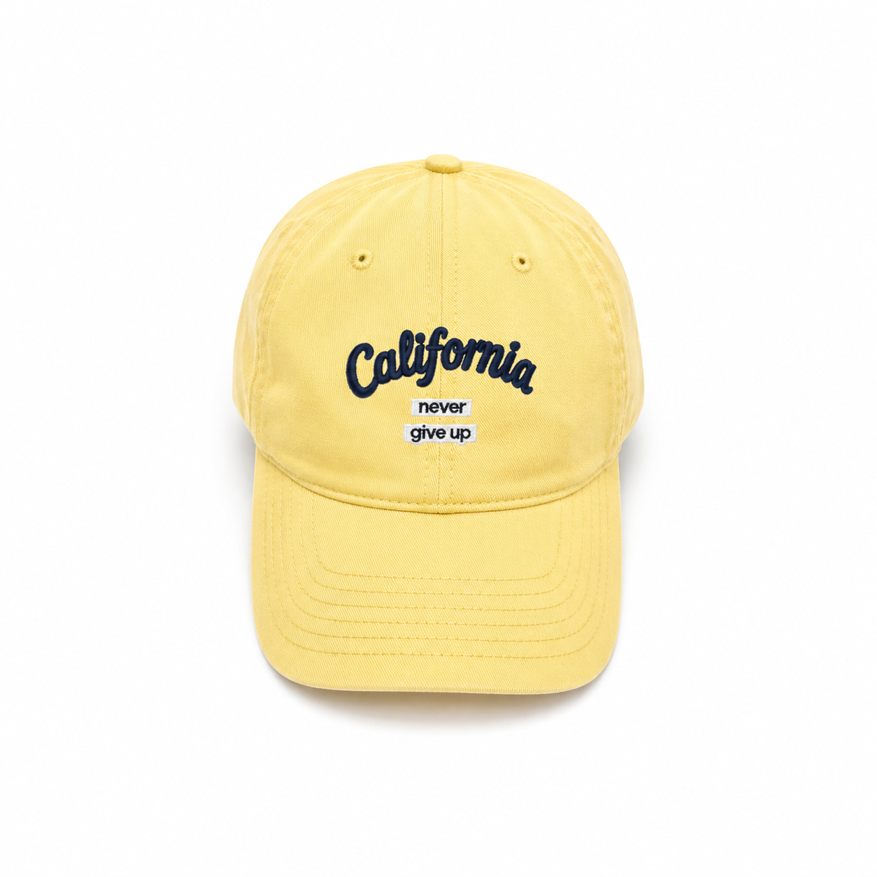 CALIFORNIA ( NGP )