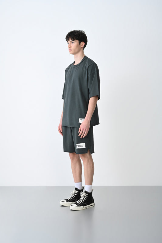 ENSAMBLE SS1